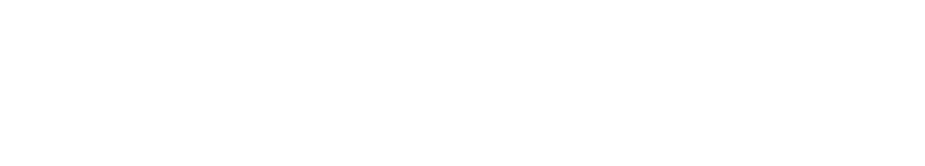 Consolto Logo